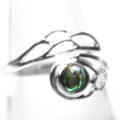 Abalone Silberring Nahansicht
