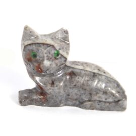 Katze Miezi