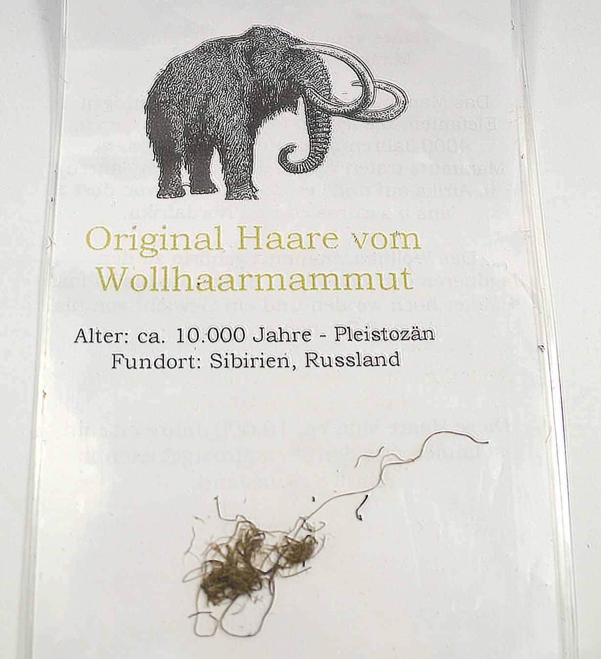 Mammut Haare