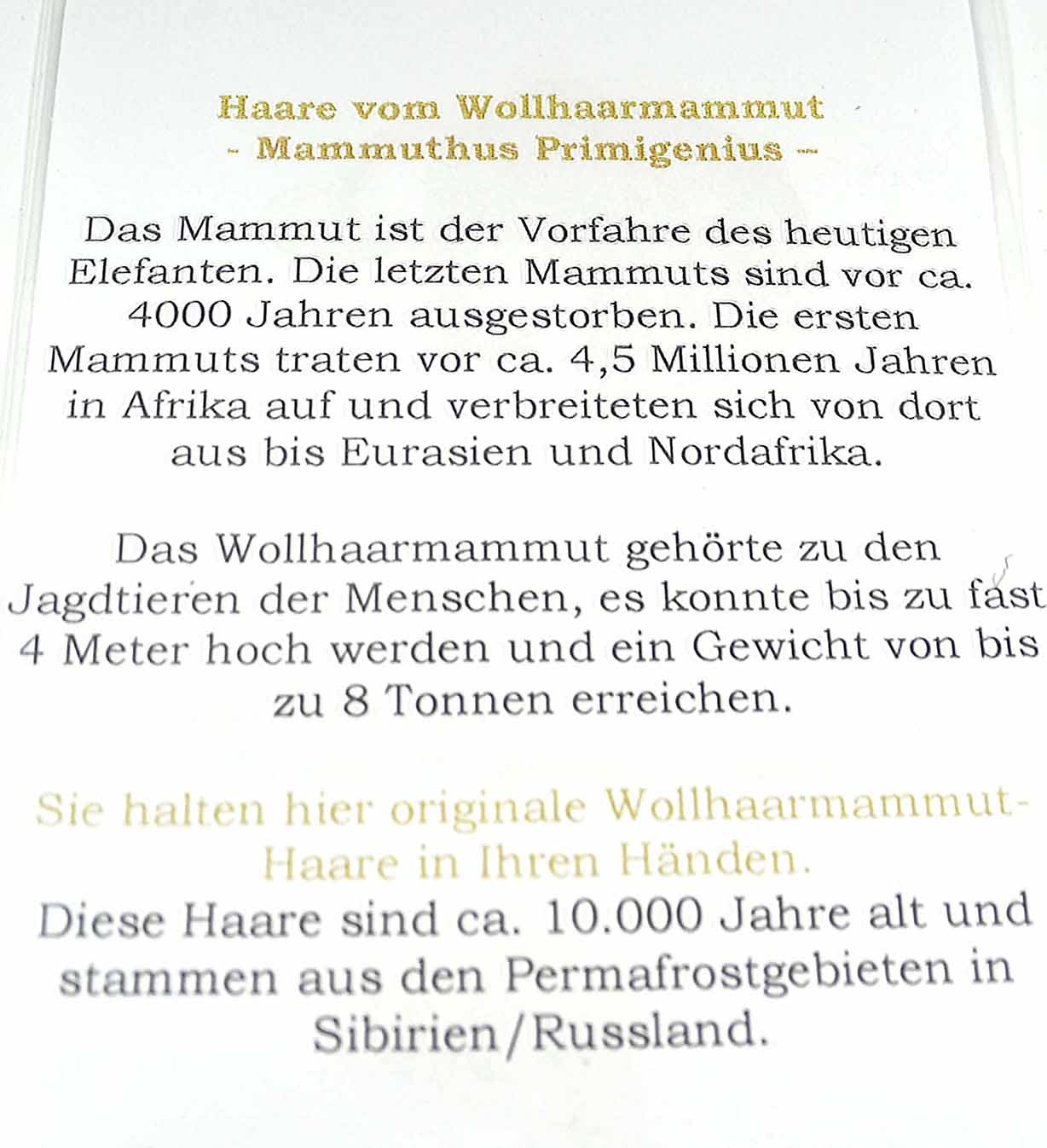 Mammut Haare