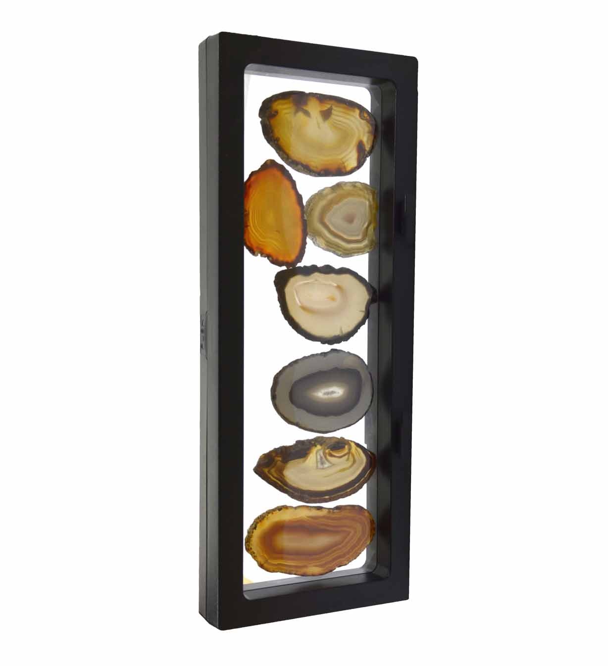 Achatscheiben Schaukasten