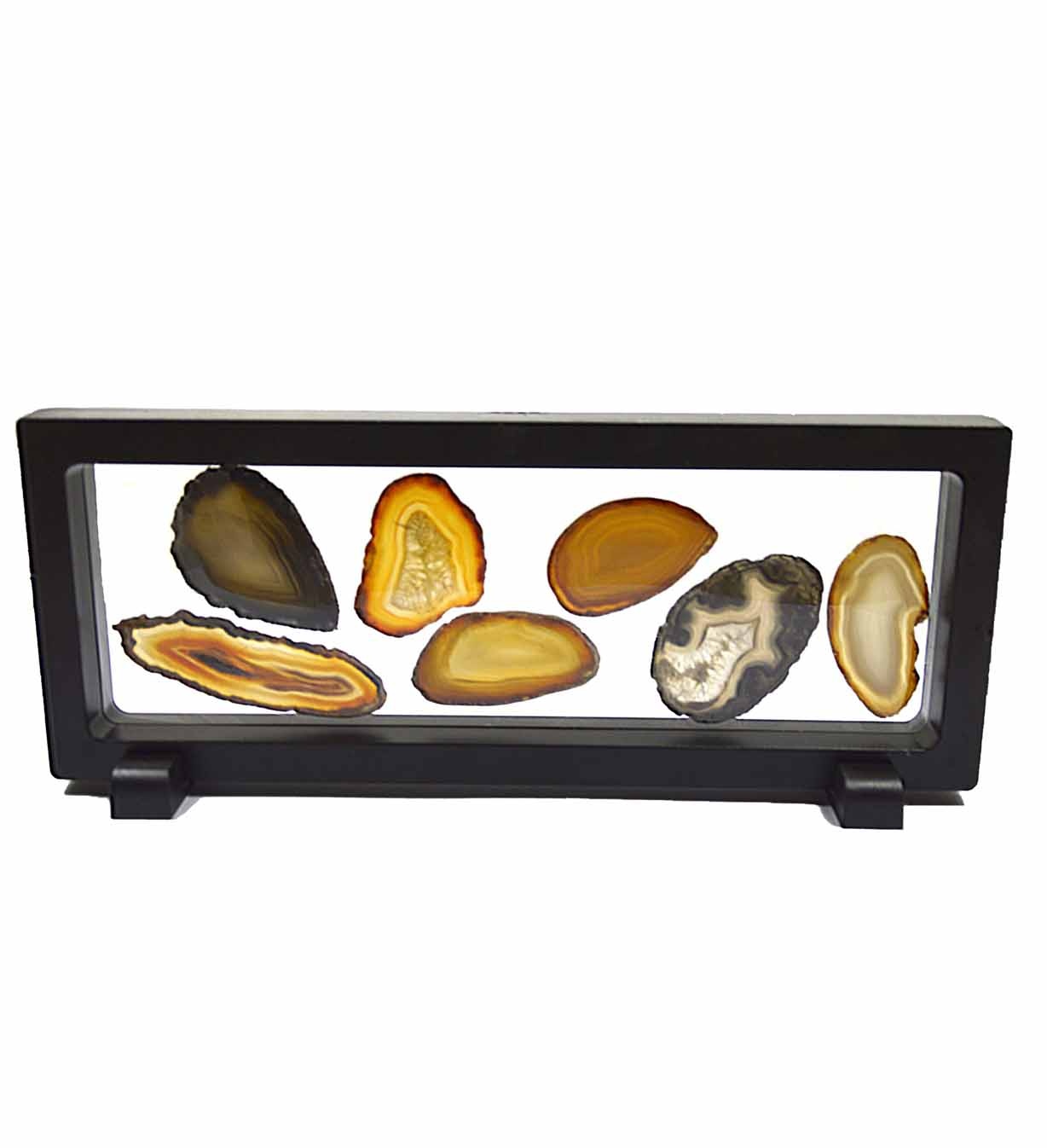 Achatscheiben Schaukasten