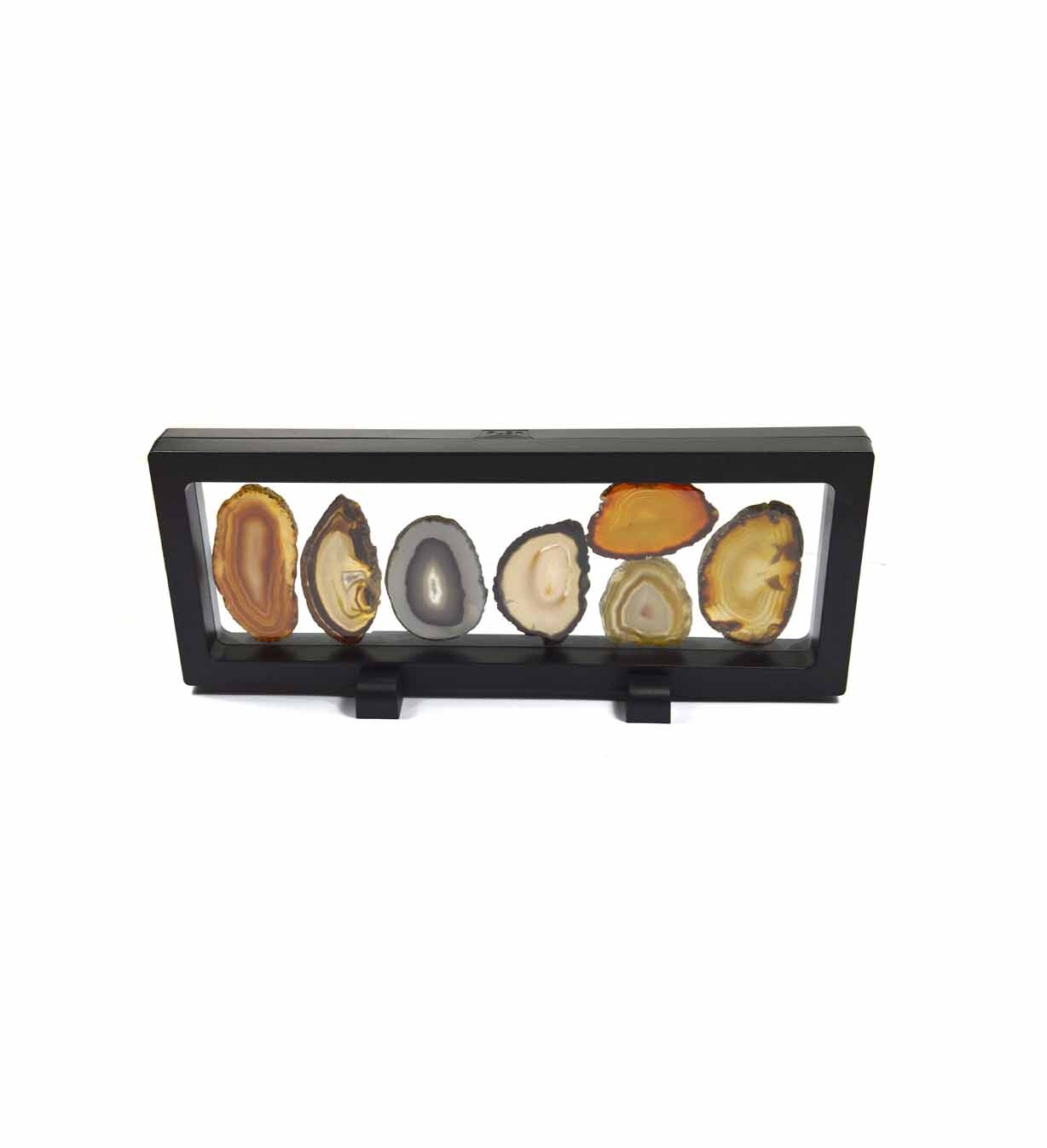 Achatscheiben Schaukasten