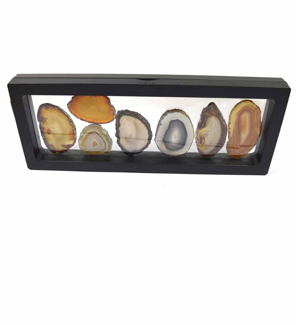 Achatscheiben Schaukasten