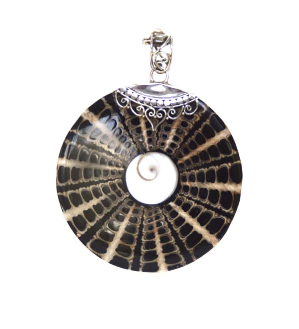 Wunderschöner Kauri-Muschel Anhänger ca. 38 x 22 mm.