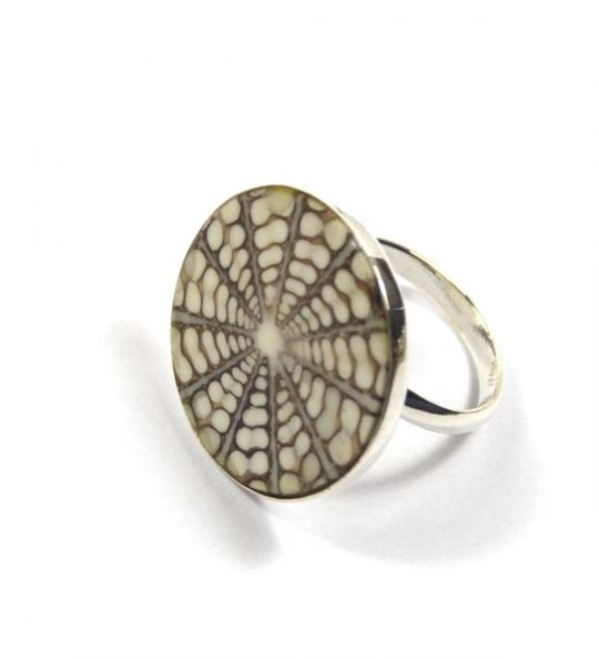 Spider Muschel 925er Silber hell ca. 25 mm verstellbar