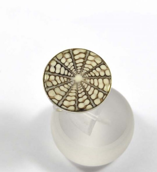 Spider Muschel 925er Silber hell ca. 25 mm verstellbar