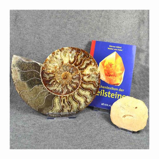 Ständer für Dekorationsstücke