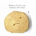 Fisch Fossil Dastilbe Abb. 4 Sandsteinplatte