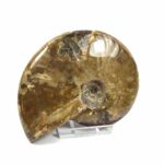 Landschildkröte aus Speckstein ca. 5 cm