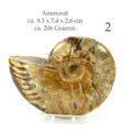 versteinertes Ammonitenfossil ganz Größe L

&nbsp;