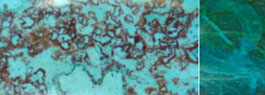 Chrysokoll