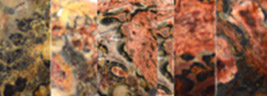 Leopardenjaspis