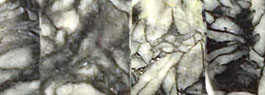 Pinolith