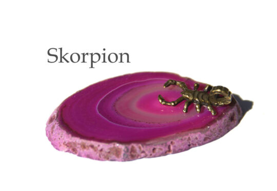 Ratgeber Skorpion Hauptbild