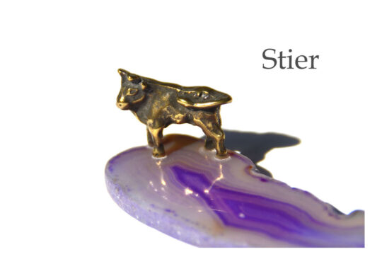 Ratgeber Stier Hauptbild ok