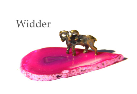 Ratgeber Widder Hauptbild ok
