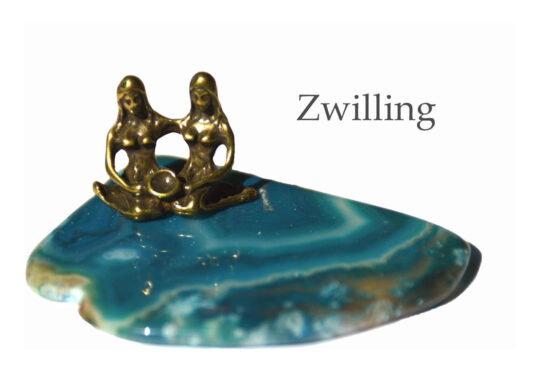 Ratgeber Zwilling Hauptbild ok