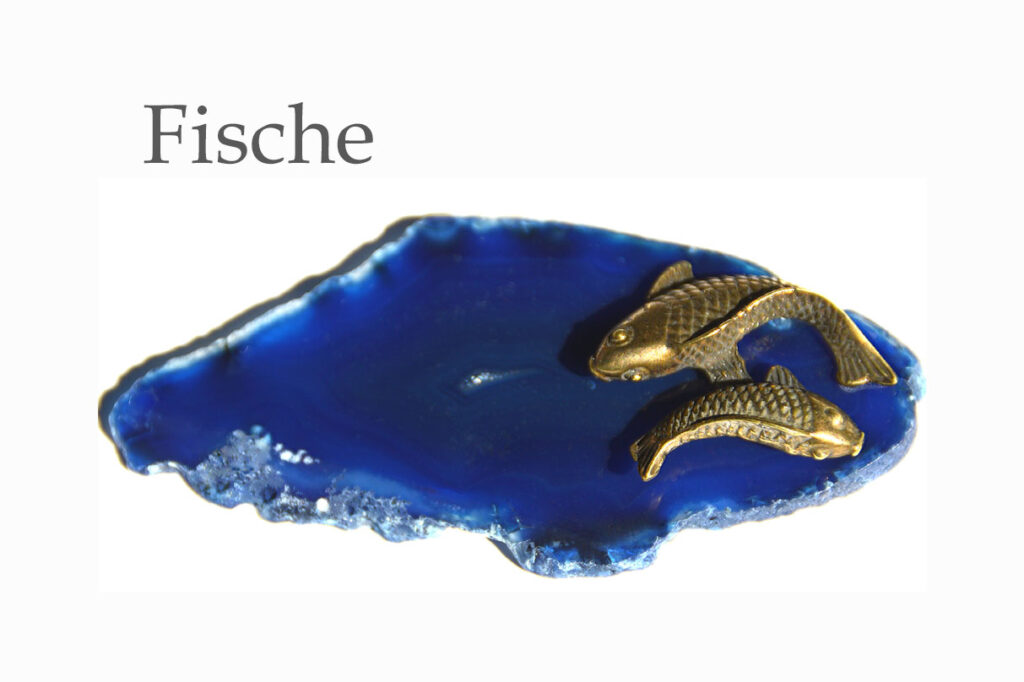 Ratgeber Fische Hauptbild