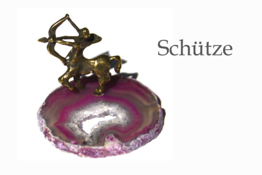 Ratgeber Schütze Hauptbild